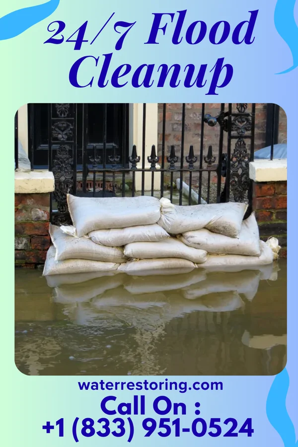 24/7 Flood Cleanup in Plains, GA