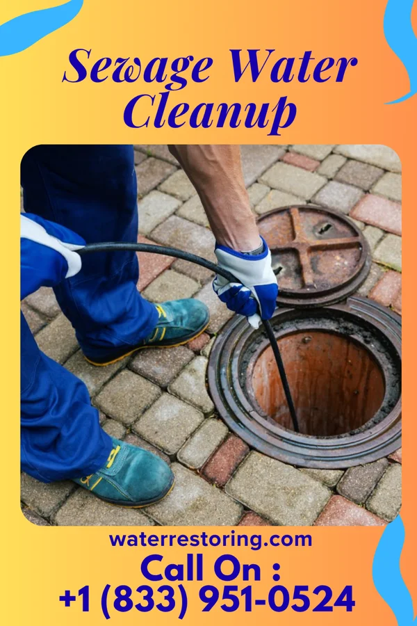 Sewage Water Cleanup in Plains, GA